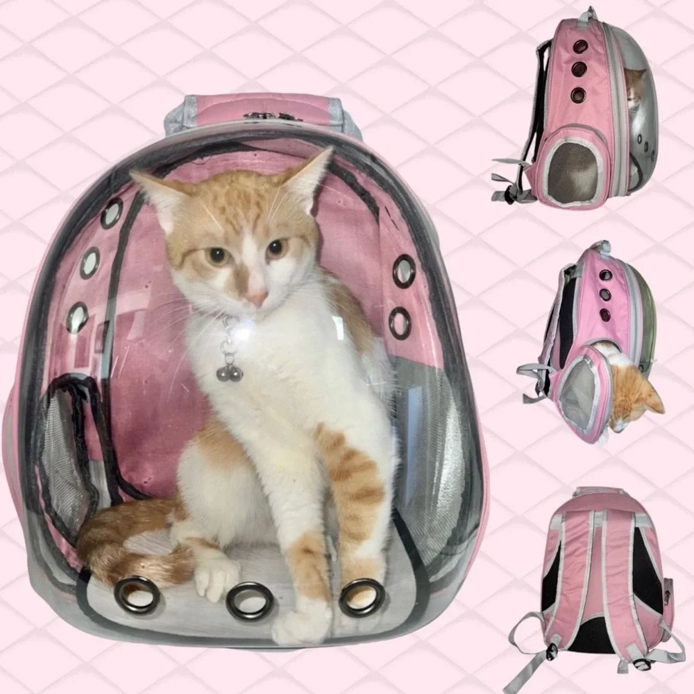 Pink PetPack Clear Bubble Carrier Backpack Breathable Space Capsule Small Cats